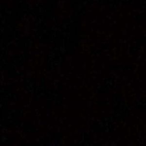 Meet your Posher, Joana